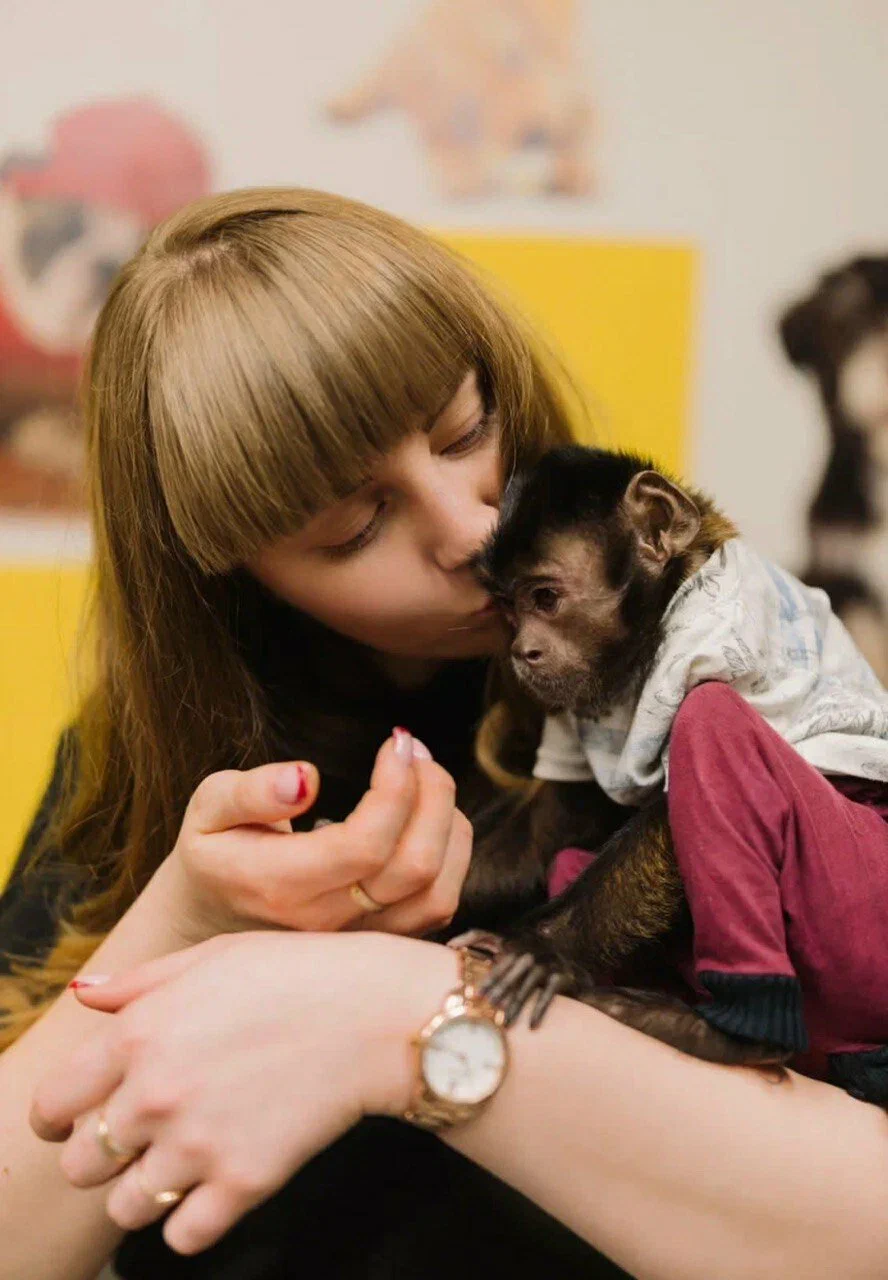 ветеринарная диагностика собаки